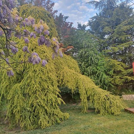 Gite Au Coeur De La Provence & Spa Saint-Cannat Exteriör bild