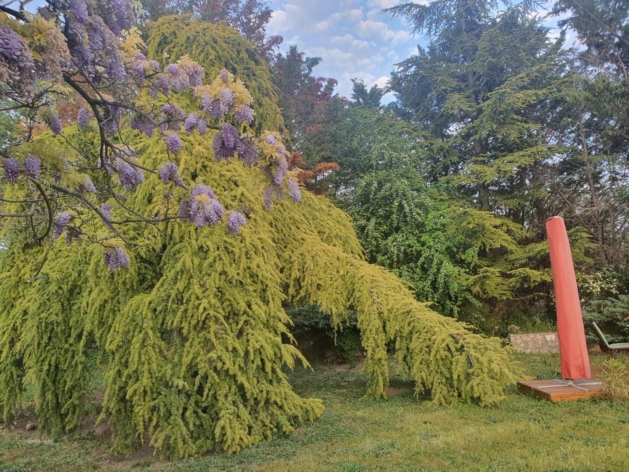 Gite Au Coeur De La Provence & Spa Saint-Cannat Exteriör bild